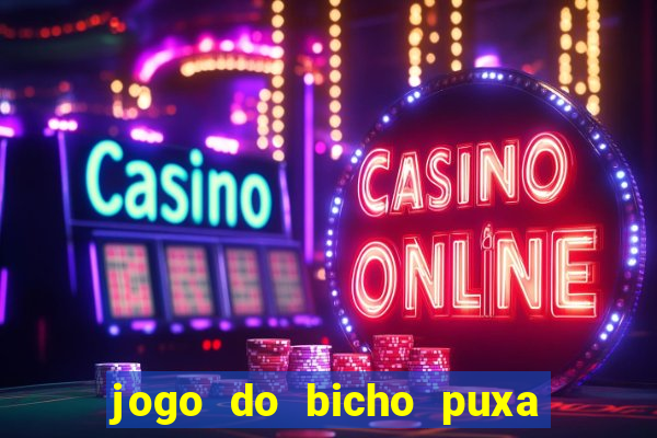 jogo do bicho puxa de dona maria